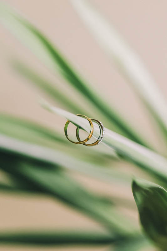 Descripción de la imagen 28